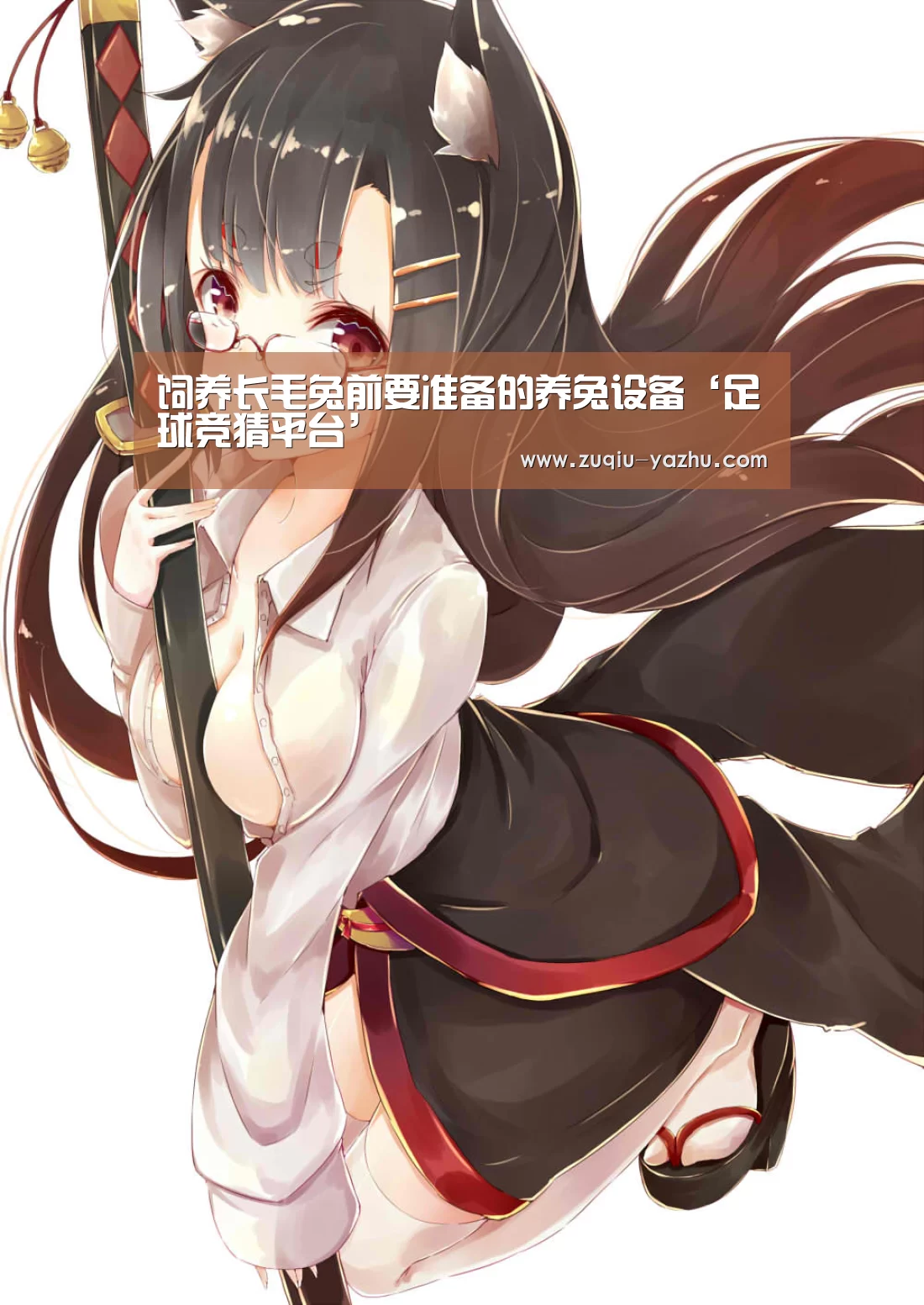 饲养长毛兔前要准备的养兔设备‘足球竞猜平台’(图1) 足球竞彩网